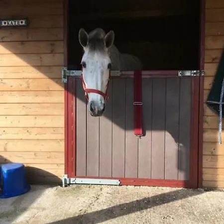 Rivendell 3* Belturbet