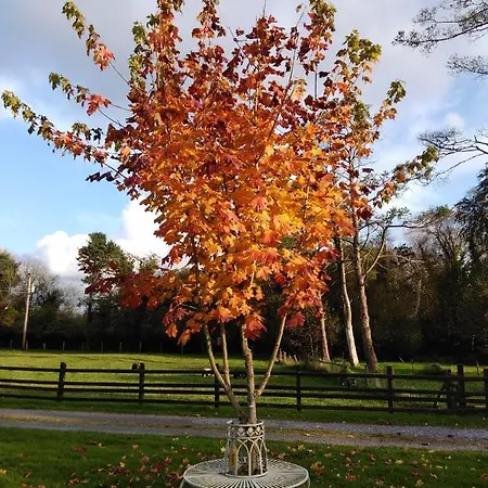 Bed & Breakfast Rivendell Belturbet